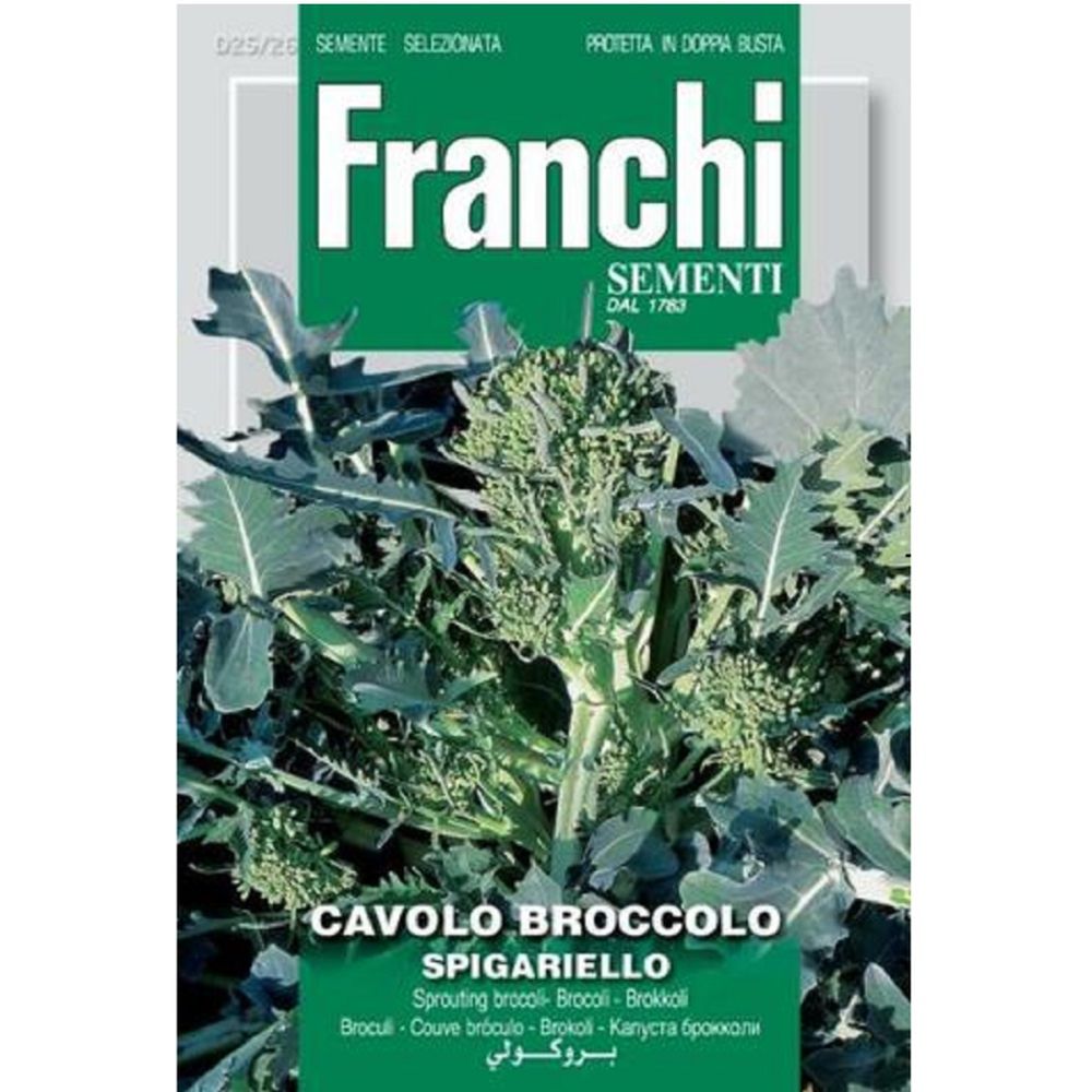Cavolo Spigar (Broccoli)
